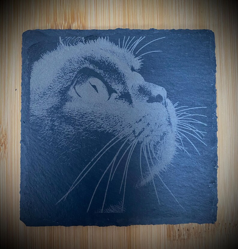 Personalised Slate Pet Portrait Coasters - Square - Custom engraved pet home décor for dog and cat lovers thumbnail 10
